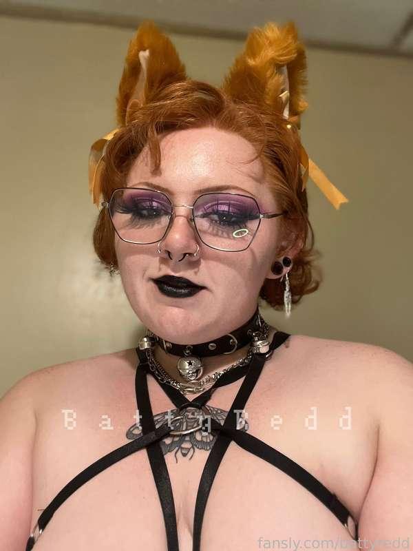 battyredd image #1