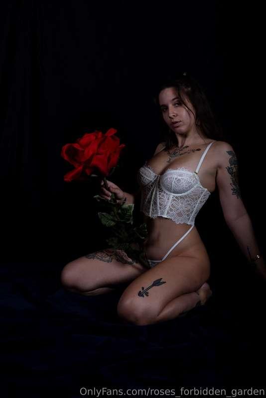 roses_forbidden_garden image #2