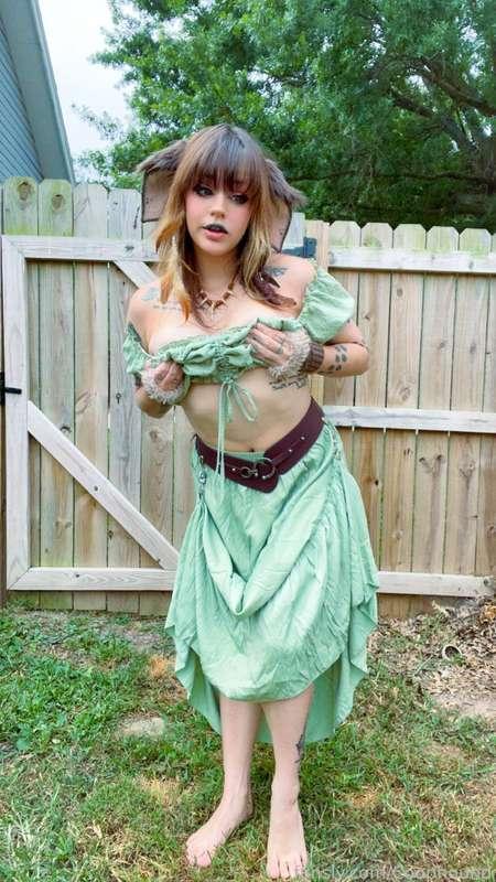 coophound image #10