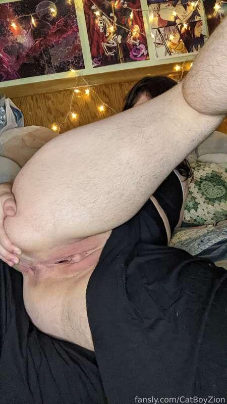 catboyzion image #4