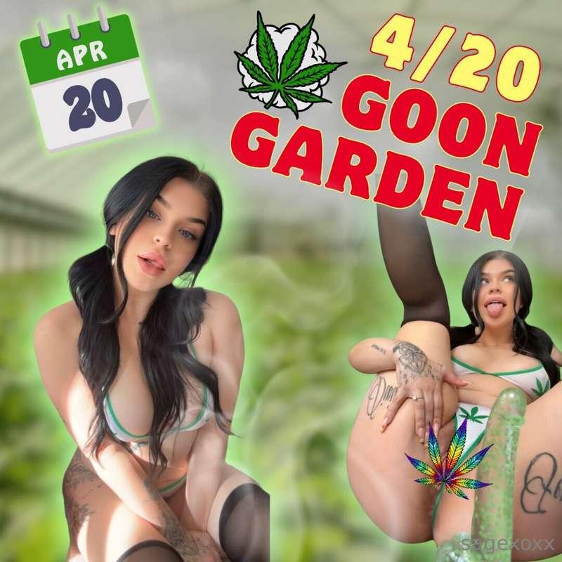 𝟒/𝟐𝟎 𝐆𝐎𝐎𝐍 𝐆𝐀𝐑𝐃𝐄𝐍 💨In celebration of 4/20 🍃 I filmed this SMO..