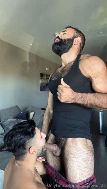alphatopwolf22 image #2