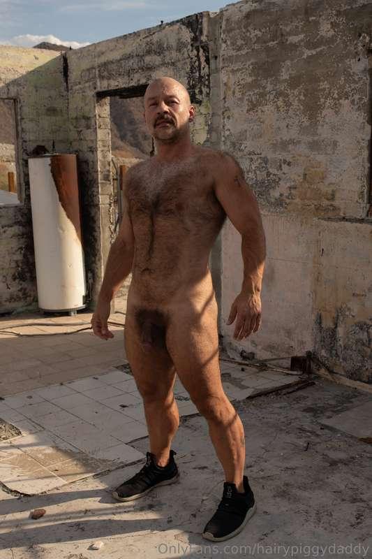 hairypiggydaddy image #2