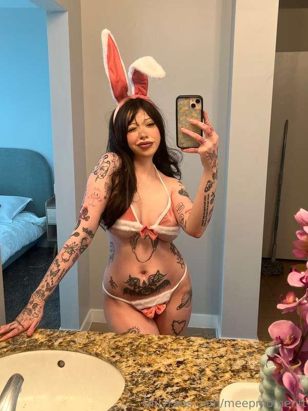 🐰 