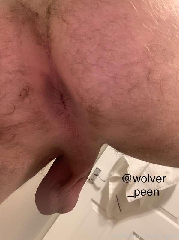 wolver_peen image #0