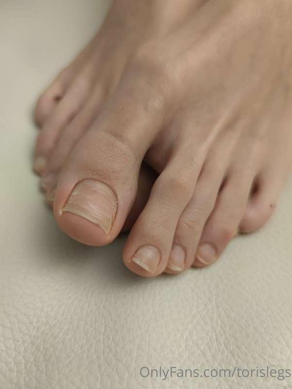 torislegs image #17