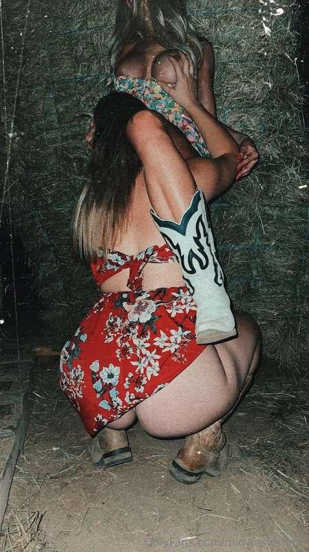 midwestemma main image