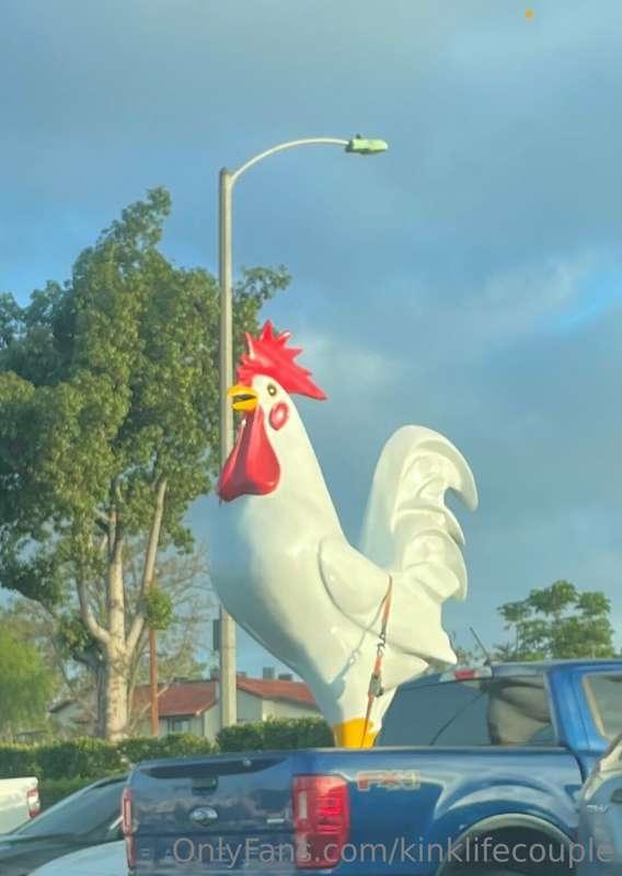 Didn’t expect to to see this huge white cock in the parking ..
