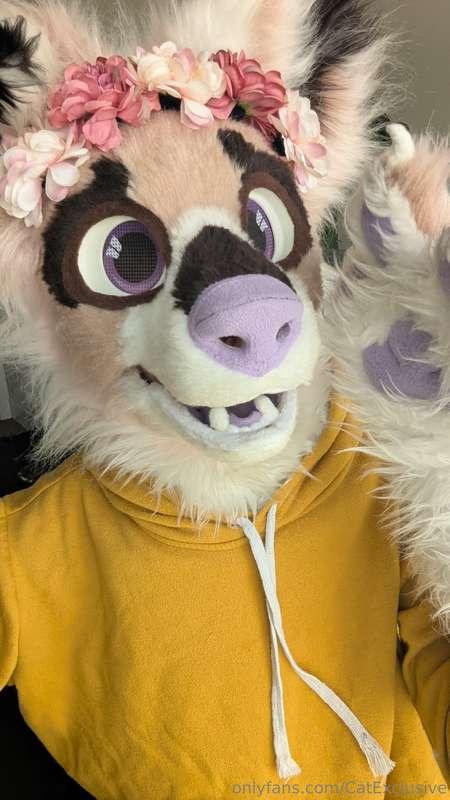 omg hi! omg hi! omg hi! 