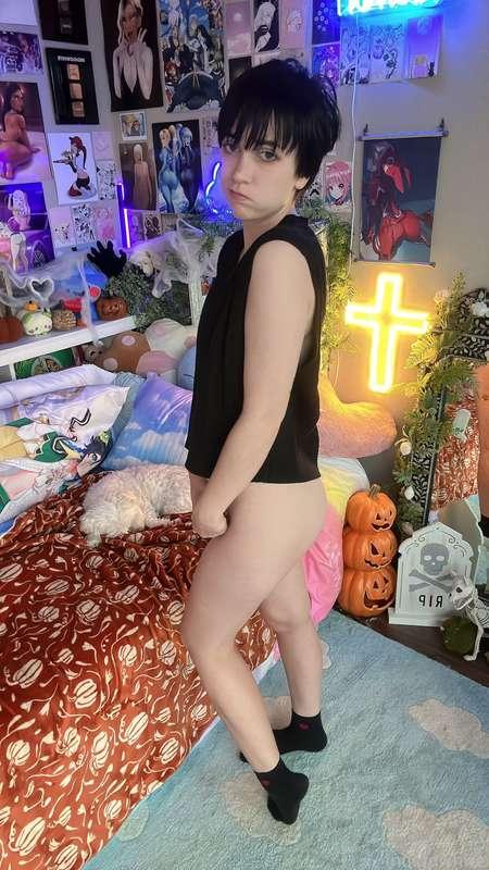indigowhite image #156