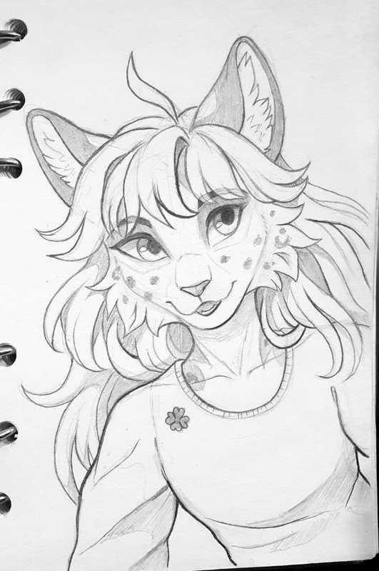 Traditional head sketches 