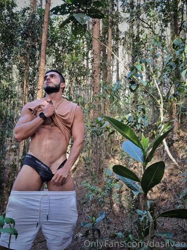 I am lost in the forest 🌱 help!