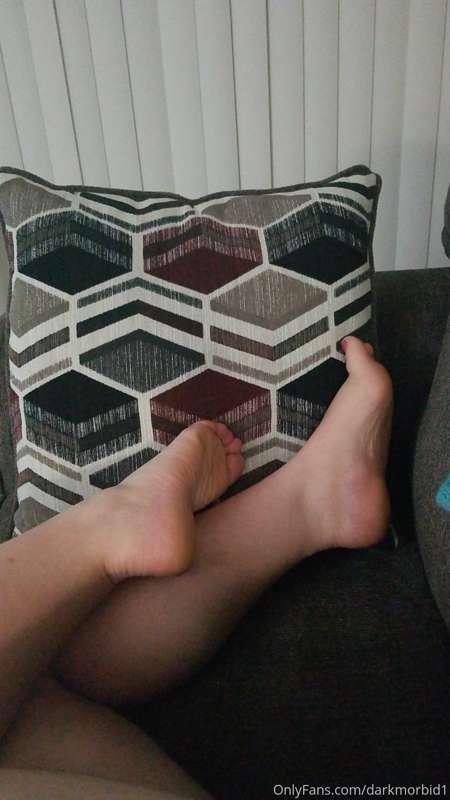 I know you wish you were this pillow. Stop drooling and star..