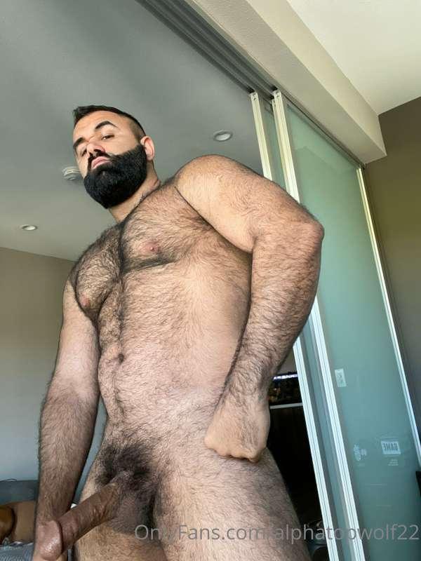 This furry Daddy woke up with some Morning Wood 🪵 
“Like” if..
