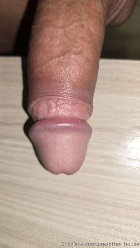 prezottes_house image #17