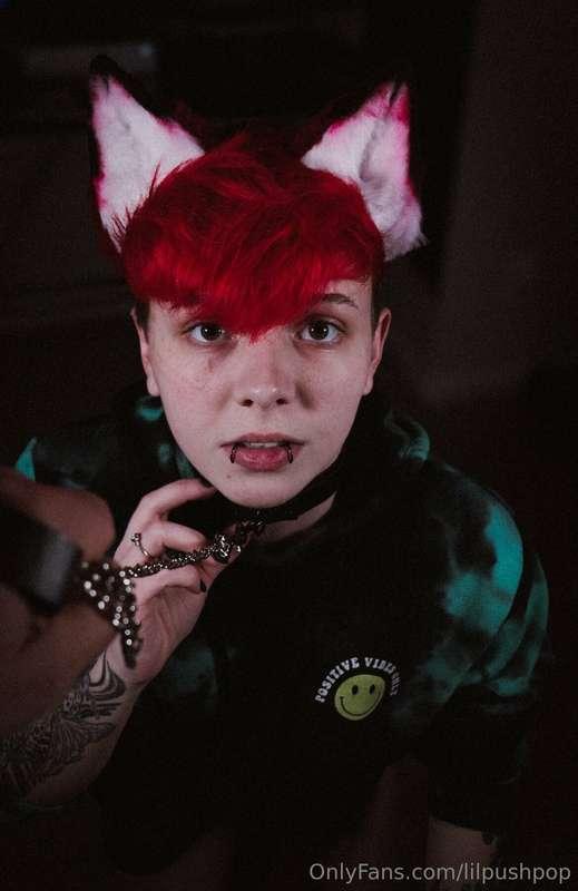 I know this is a cyberpunk account but these ears are just t..