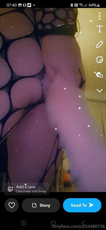 Wanna see this go in my arse baby?