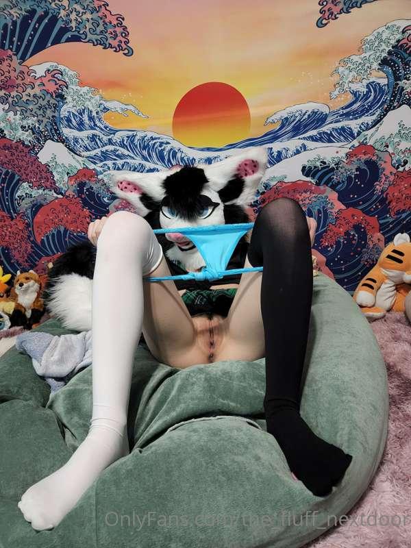 the_fluff_nextdoor image #8