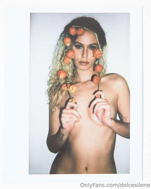 dolcesilene image #0