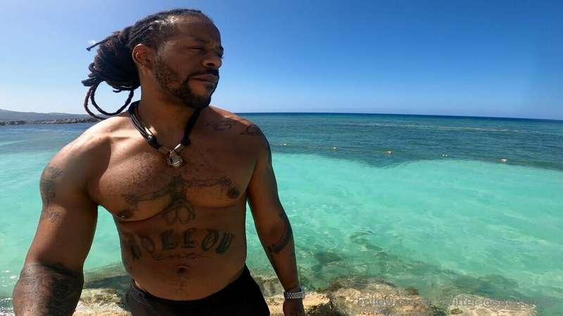 freesunmega image #1