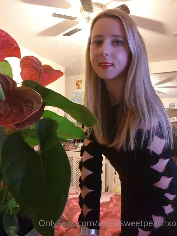 xjuicysweetpeachxo image #0