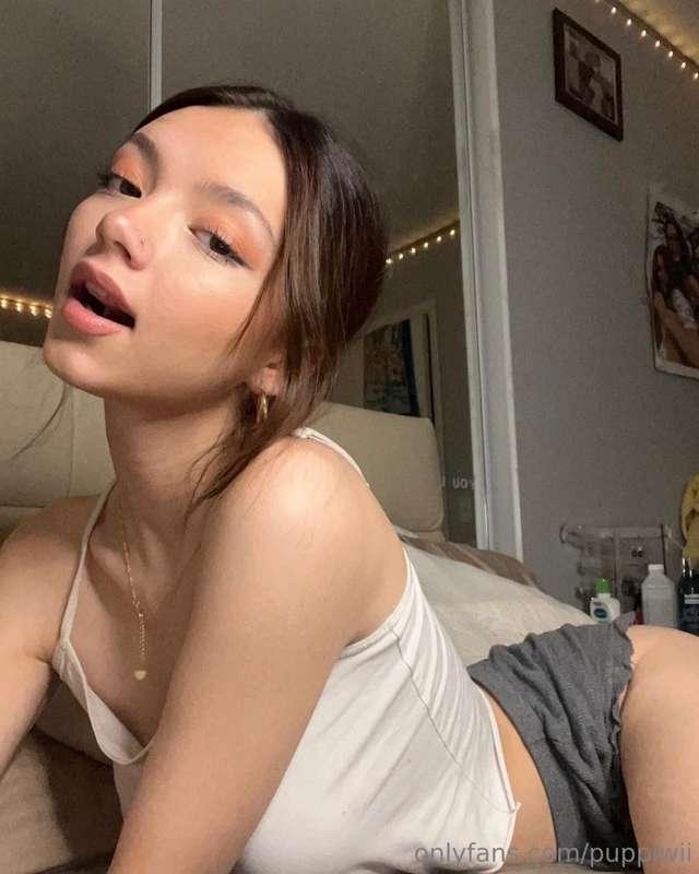 puppiwifree image #1