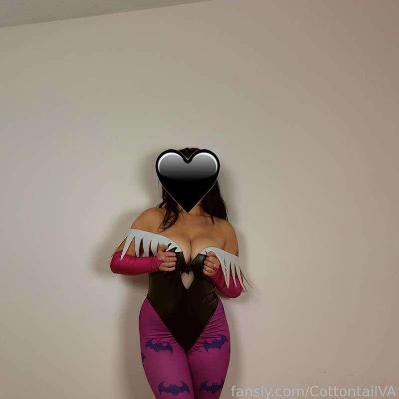 cottontailva image #11