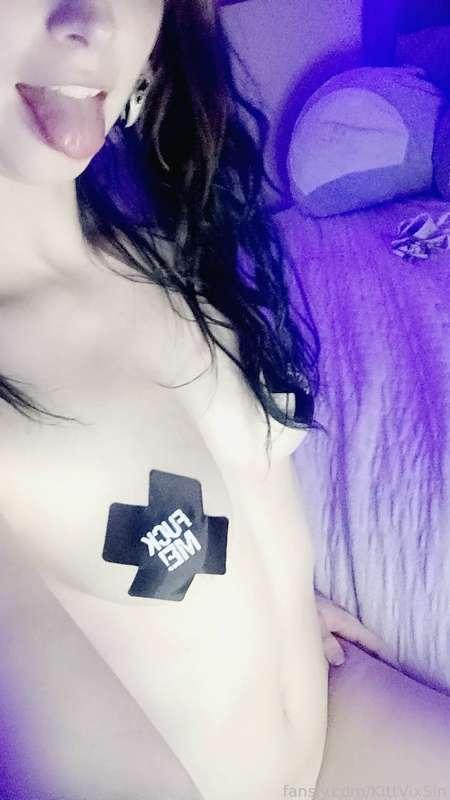 kittvixsin image #2