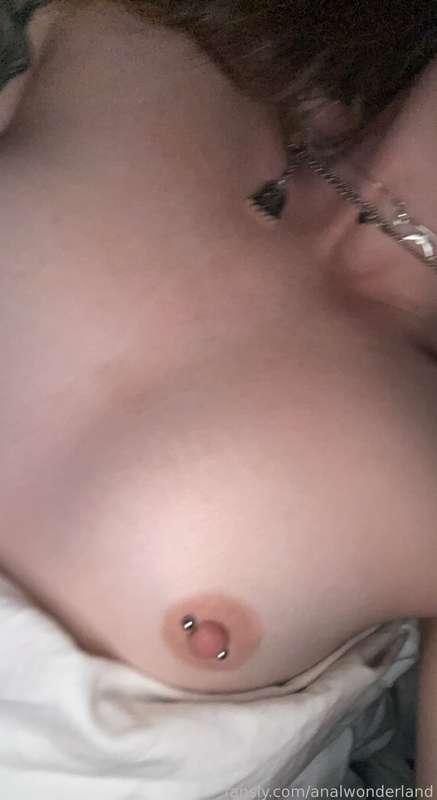 analwonderland image #2