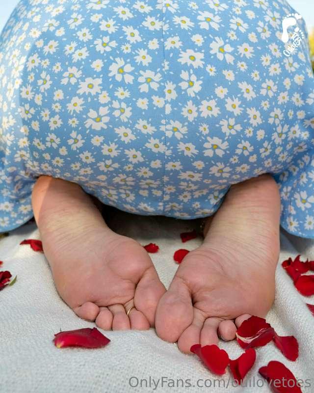 ouilovetoes image #16