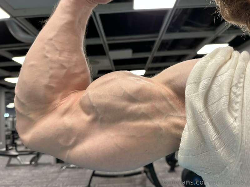 armzbro97 image #4