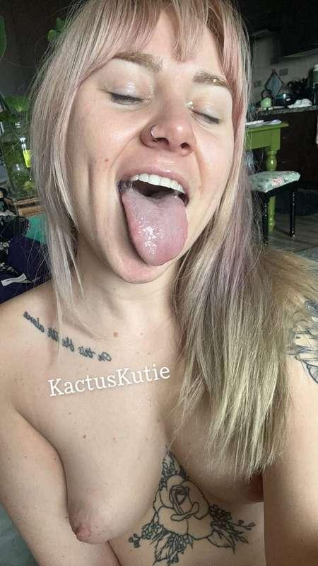 kactuskutie image #0