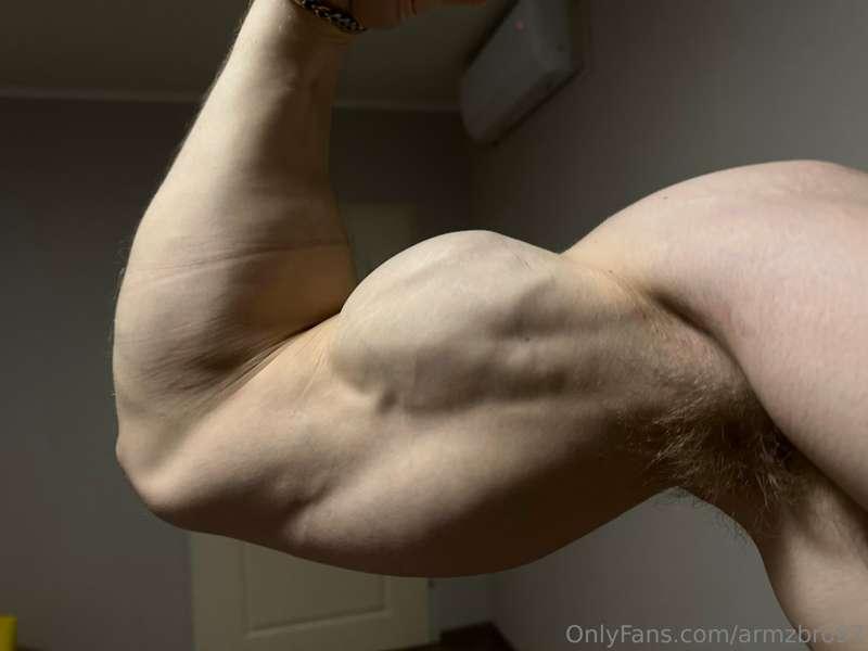 armzbro97 image #0