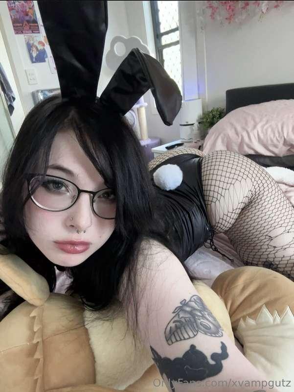 Hop bunny hop 