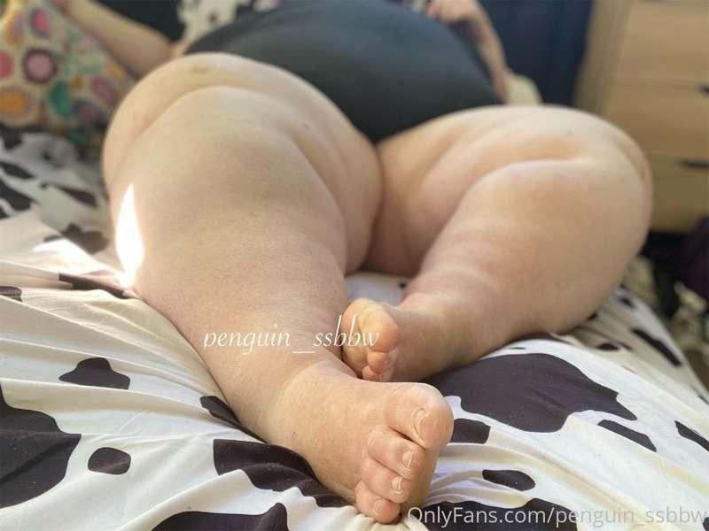 penguin_ssbbw image #1