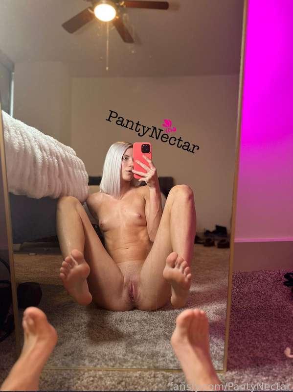 pantynectar image #1
