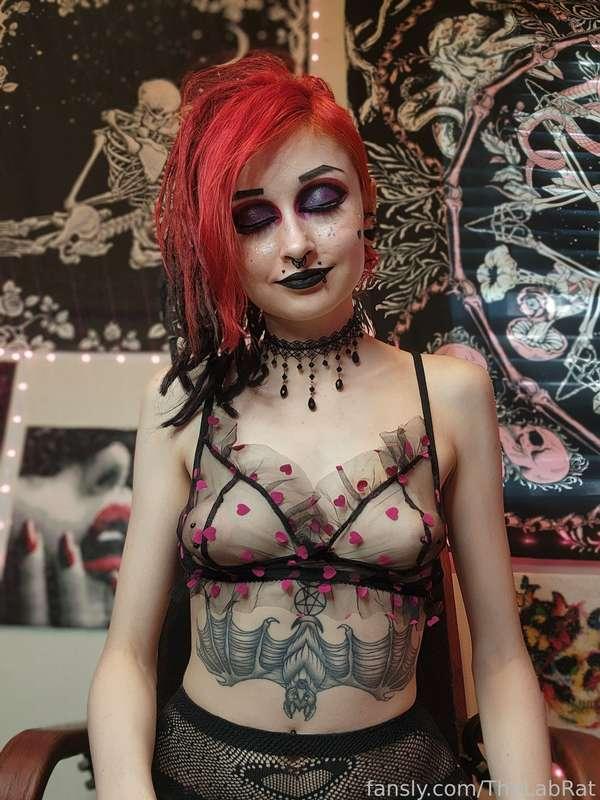 thelabrat image #6