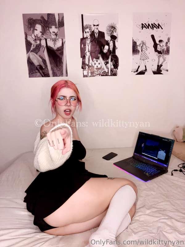 wildkittynyan image #8
