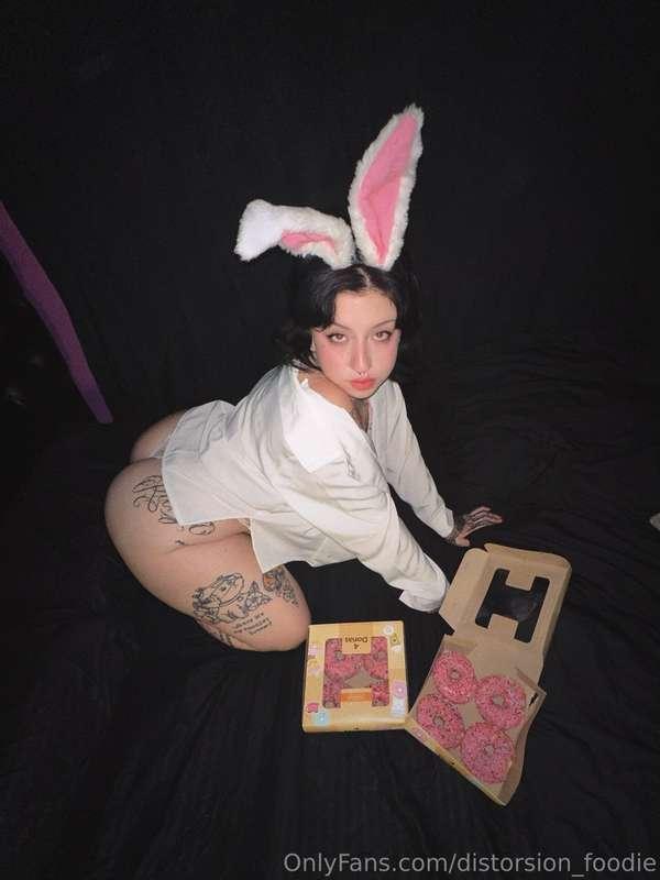 Do you want a donut? or can I eat them all? 🍩🐇