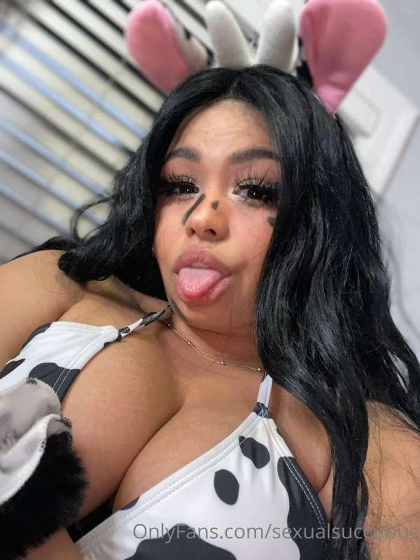 Can I Be Your Favorite Cow? ✨