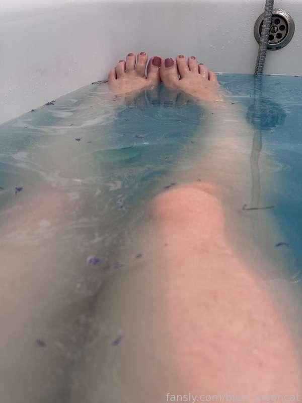 blue_mooncat image #4