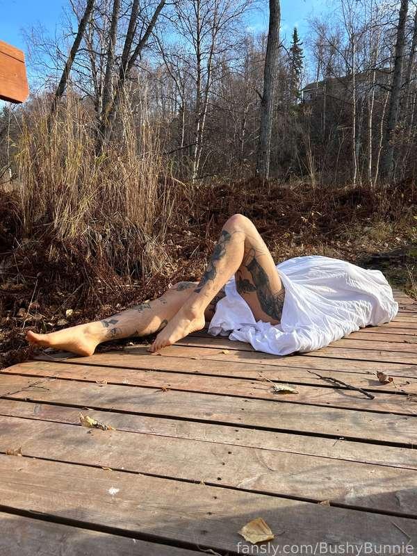 bushybunnie image #14