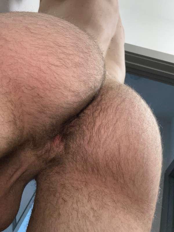 Hairy or shaved?