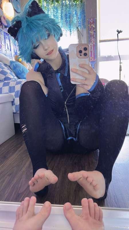 indigowhite image #24