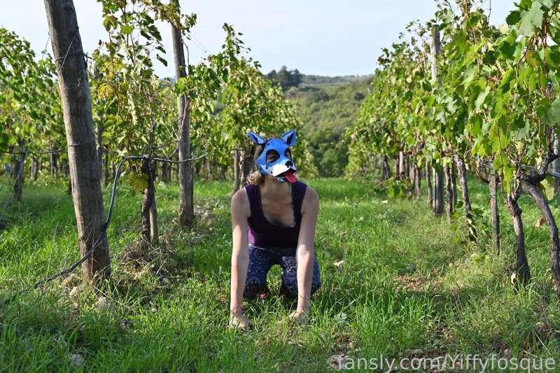 yiffyfosque image #4