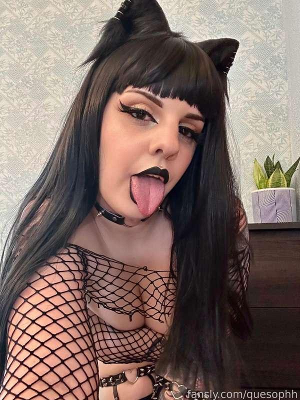 quesophh image #1