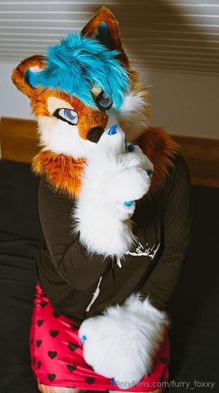 SSHHHHh - I snug into this place and want to say hi - don´t ..
