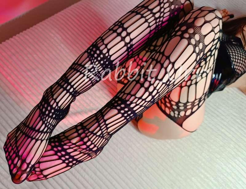 rabbit_urr image #3