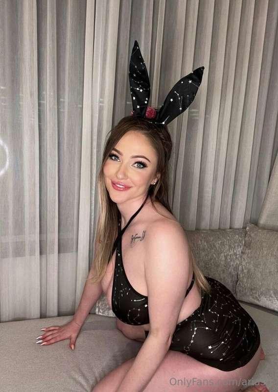 this bunny wants to ride you 