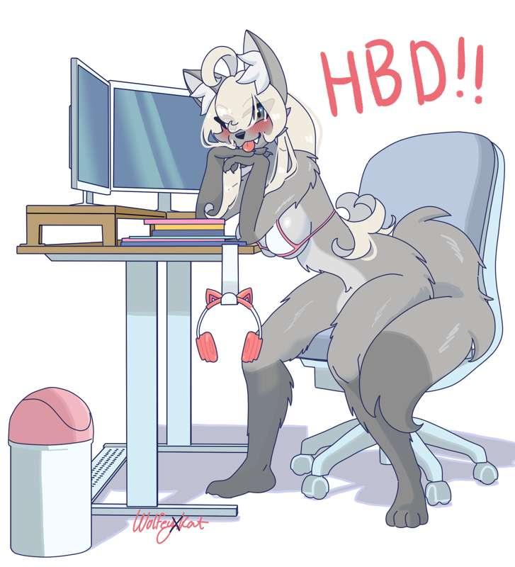 Birthday Wolf!